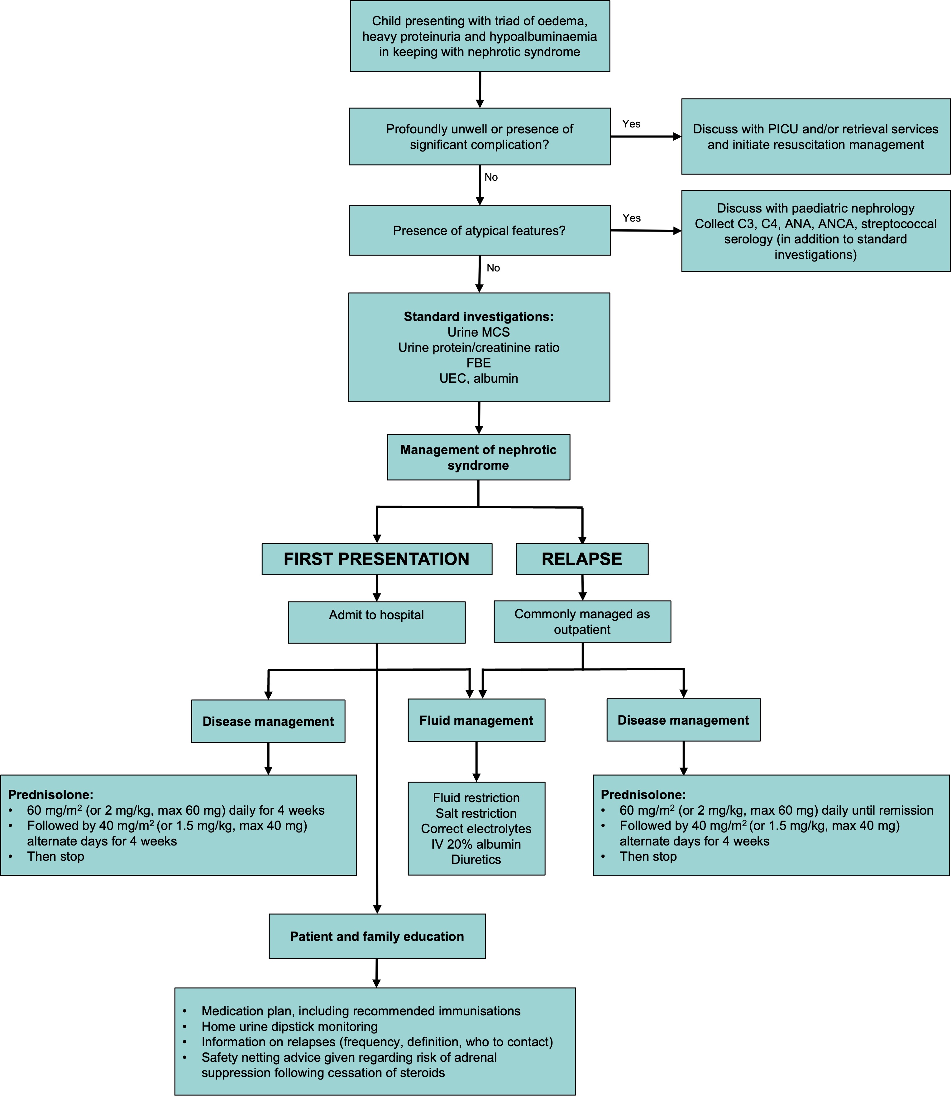 Nephrotic syndrome diagram Nephrotic syndrome diagram
